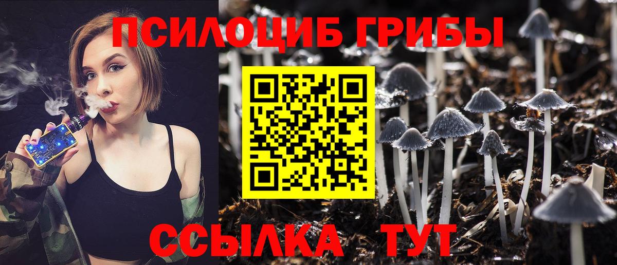 Псилоцибиновые грибы мицелий Ковров