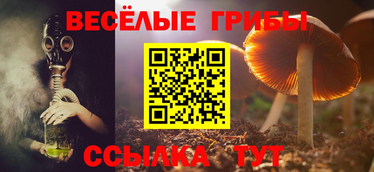 Галлюциногенные грибы GOLDEN TEACHER  Псилоцибиновые грибы GOLDEN TEACHER  Ковров  Вход с VPN 
