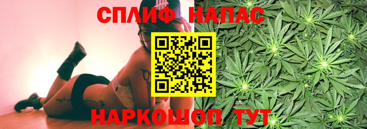 МЕФ Ковров